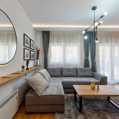 Lazy Bear Moderan Na Planini Zlatibor