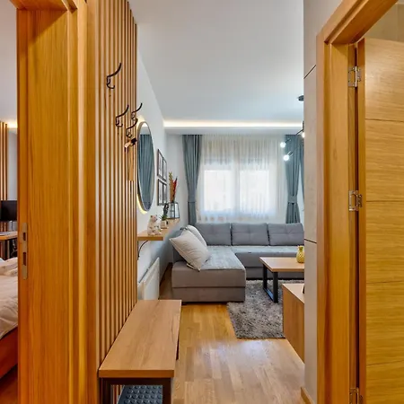 Lazy Bear Moderan Na Planini Zlatibor