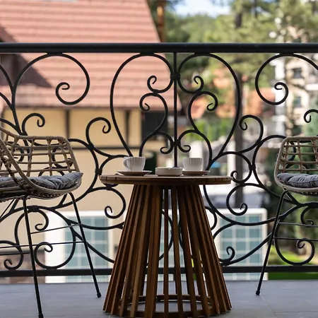 Apartman Lazy Bear Moderan Na Planini Zlatibor