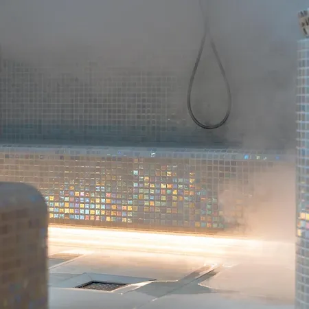 Lazy Bear Moderan Na Planini Zlatibor