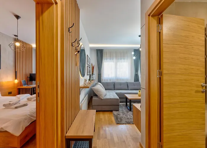 Lazy Bear Moderan Na Planini Zlatibor