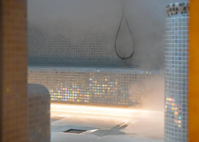 Lazy Bear Moderan Na Planini Zlatibor