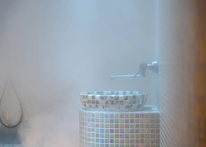 Lazy Bear Moderan Na Planini Zlatibor