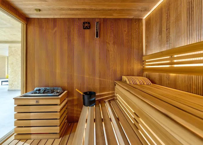 Lazy Bear Moderan Na Planini *